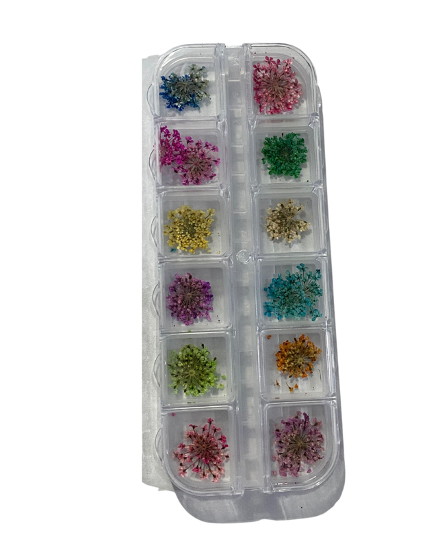 PASTILLERO NATURALEZA MUERTA 12PCS